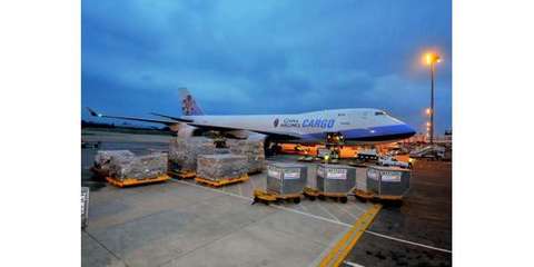 国际货运代理 深圳上海运到意大利 那不勒斯港 散货拼箱安全可靠